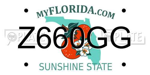 Z660GG Florida License Plate