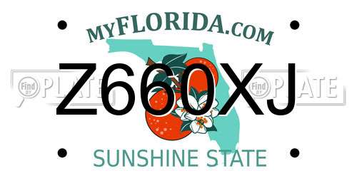 Z660XJ Florida License Plate