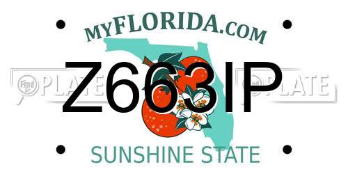 Z663IP Florida License Plate