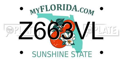Z663VL Florida License Plate