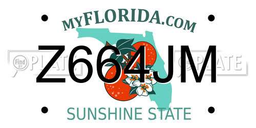 Z664JM Florida License Plate