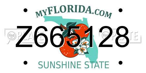 Z665128 Florida License Plate