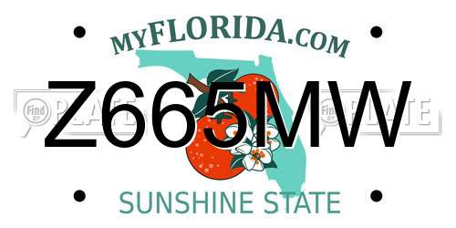 Z665MW Florida License Plate