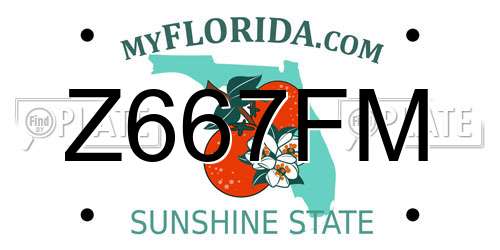 Z667FM Florida License Plate