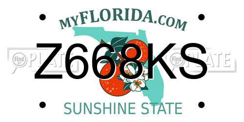 Z668KS Florida License Plate