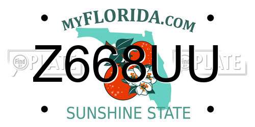 Z668UU Florida License Plate