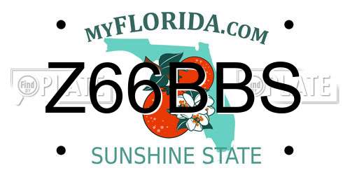 Z66BBS Florida License Plate