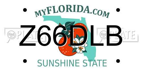 Z66DLB Florida License Plate