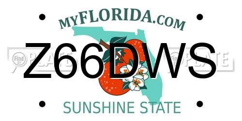 Z66DWS Florida License Plate