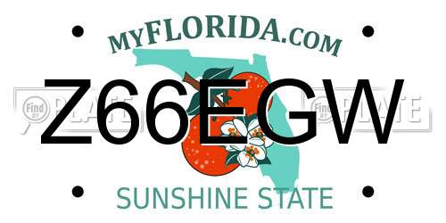 Z66EGW Florida License Plate
