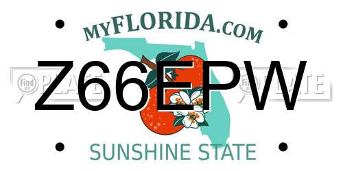 Z66EPW Florida License Plate