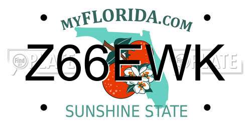 Z66EWK Florida License Plate