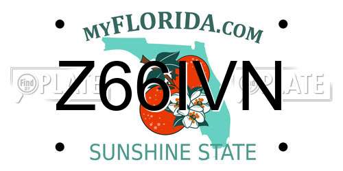 Z66IVN Florida License Plate