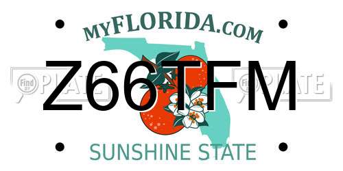 Z66TFM Florida License Plate