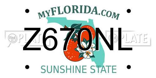 Z670NL Florida License Plate