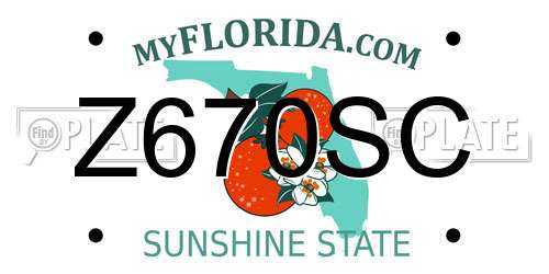 Z670SC Florida License Plate