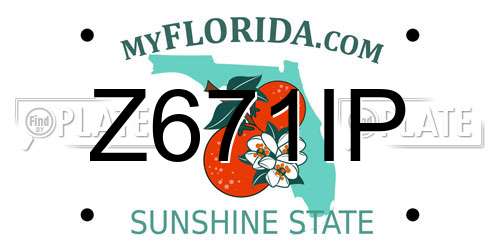 Z671IP Florida License Plate