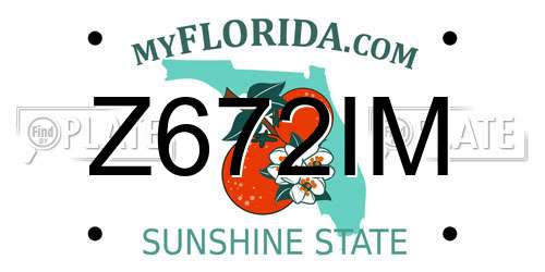 Z672IM Florida License Plate