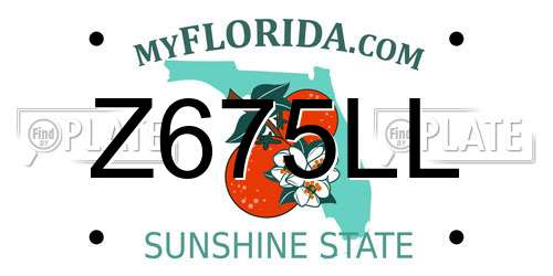 Z675LL Florida License Plate