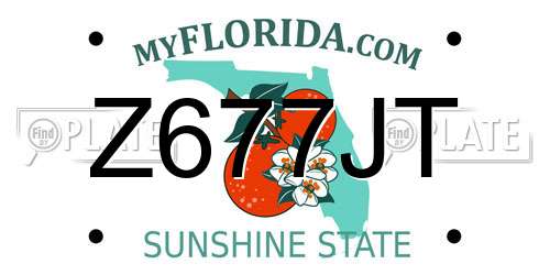 Z677JT Florida License Plate