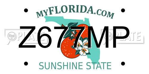 Z677MP Florida License Plate