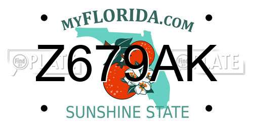 Z679AK Florida License Plate