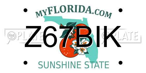 Z67BIK Florida License Plate