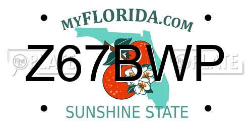 Z67BWP Florida License Plate