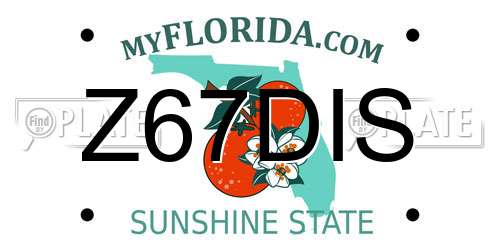 Z67DIS Florida License Plate