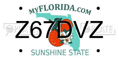 Z67DVZ Florida License Plate