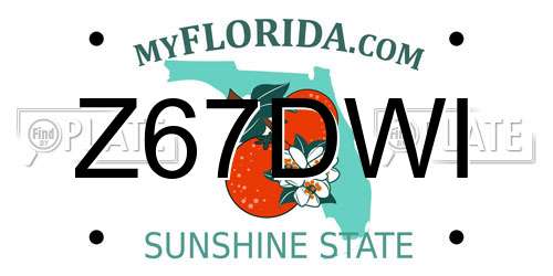 Z67DWI Florida License Plate