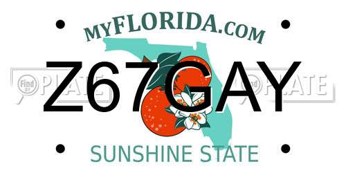 Z67GAY Florida License Plate