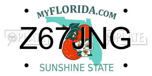 Z67JNG Florida License Plate