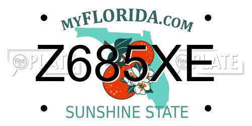 Z685XE Florida License Plate