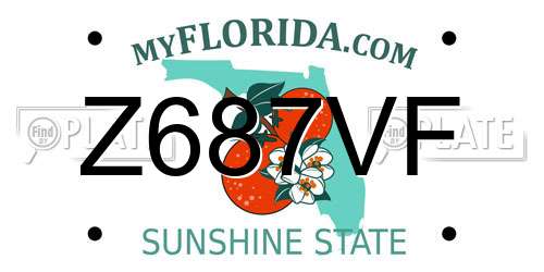 Z687VF Florida License Plate