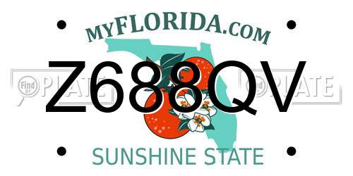 Z688QV Florida License Plate