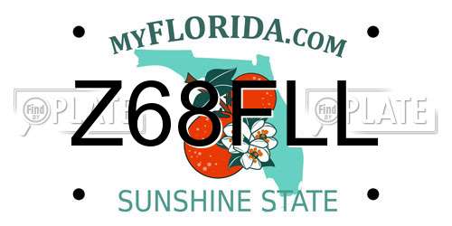 Z68FLL Florida License Plate