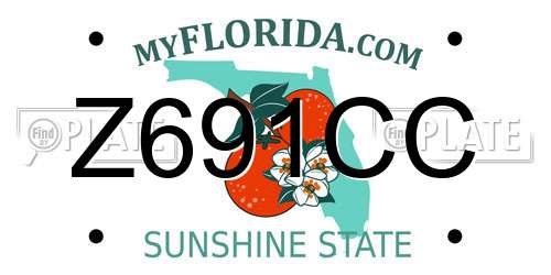 Z691CC Florida License Plate