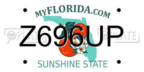 Z696UP Florida License Plate
