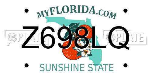 Z698LQ Florida License Plate