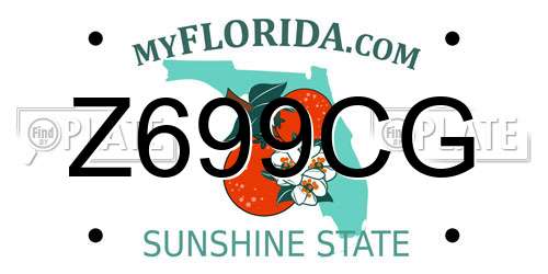 Z699CG Florida License Plate