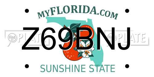 Z69BNJ Florida License Plate