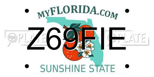 Z69FIE Florida License Plate