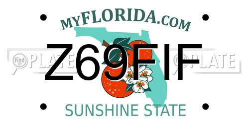 Z69FIF Florida License Plate