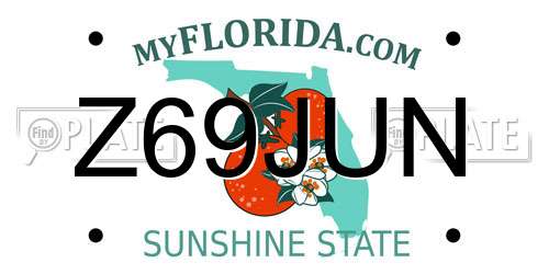Z69JUN Florida License Plate