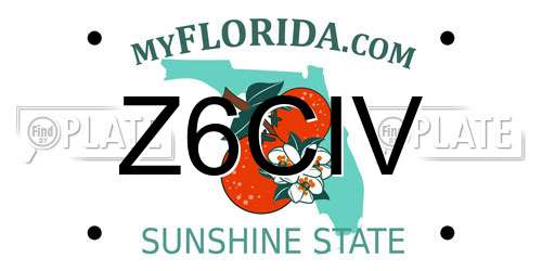 Z6CIV Florida License Plate