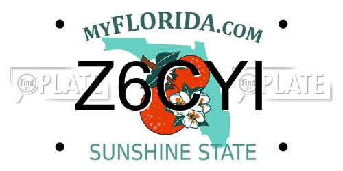 Z6CYI Florida License Plate