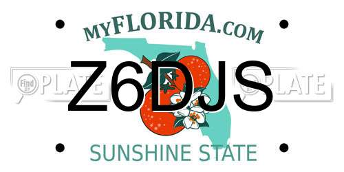 Z6DJS Florida License Plate