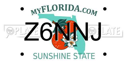 Z6NNJ Florida License Plate