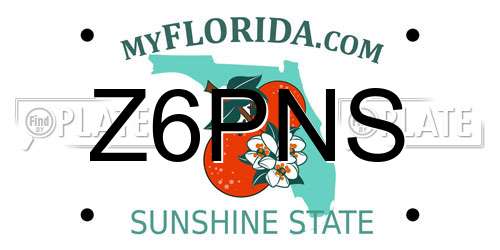 Z6PNS Florida License Plate